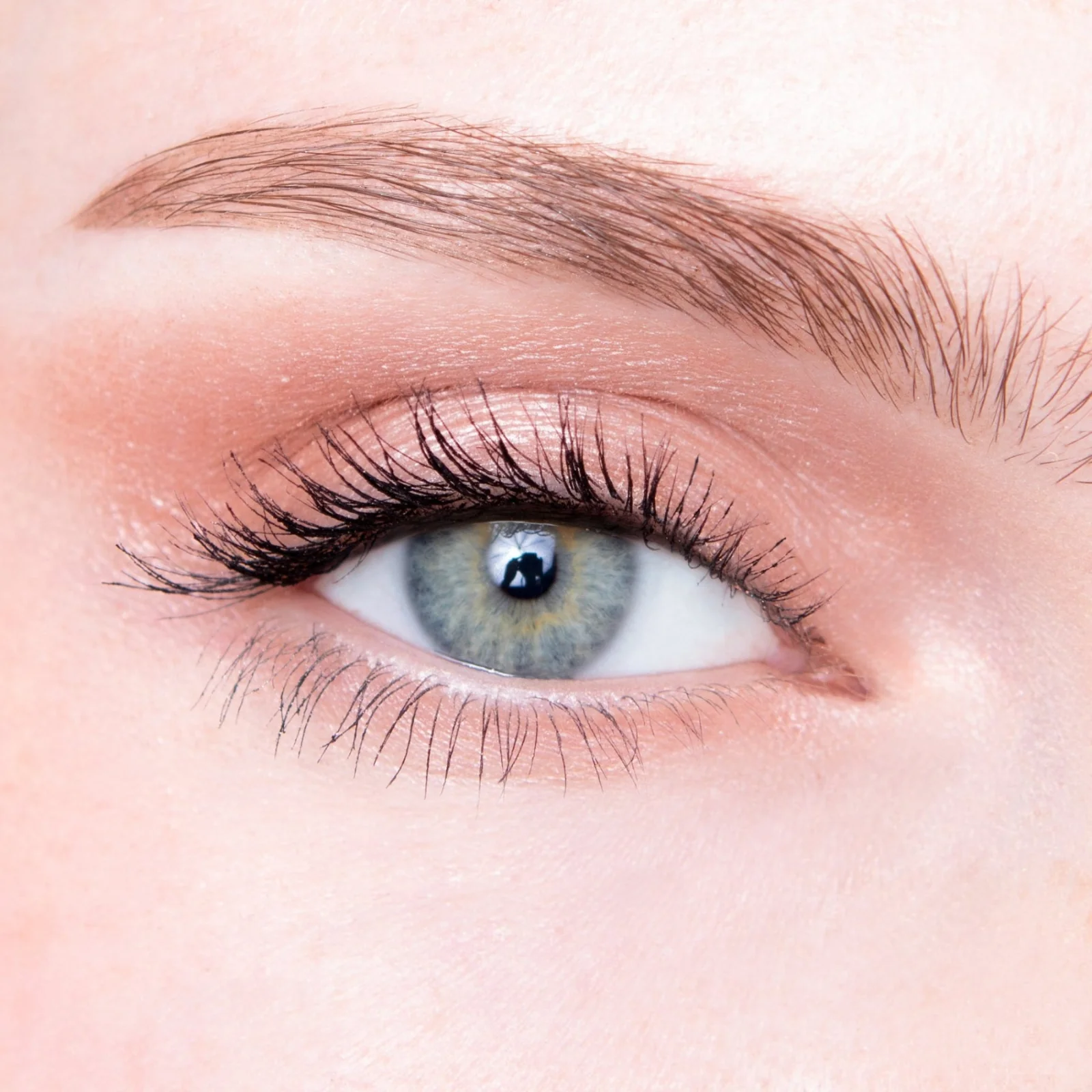Elevate Eye Trio - Image 2